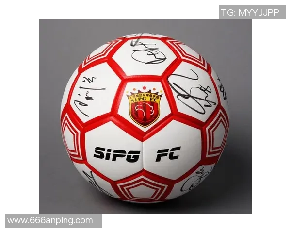 足球罗带的魅力与激情探寻全球足球文化的多样性与发展